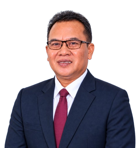 Prof. Dr. I Wayan Lasmawan, M.Pd.